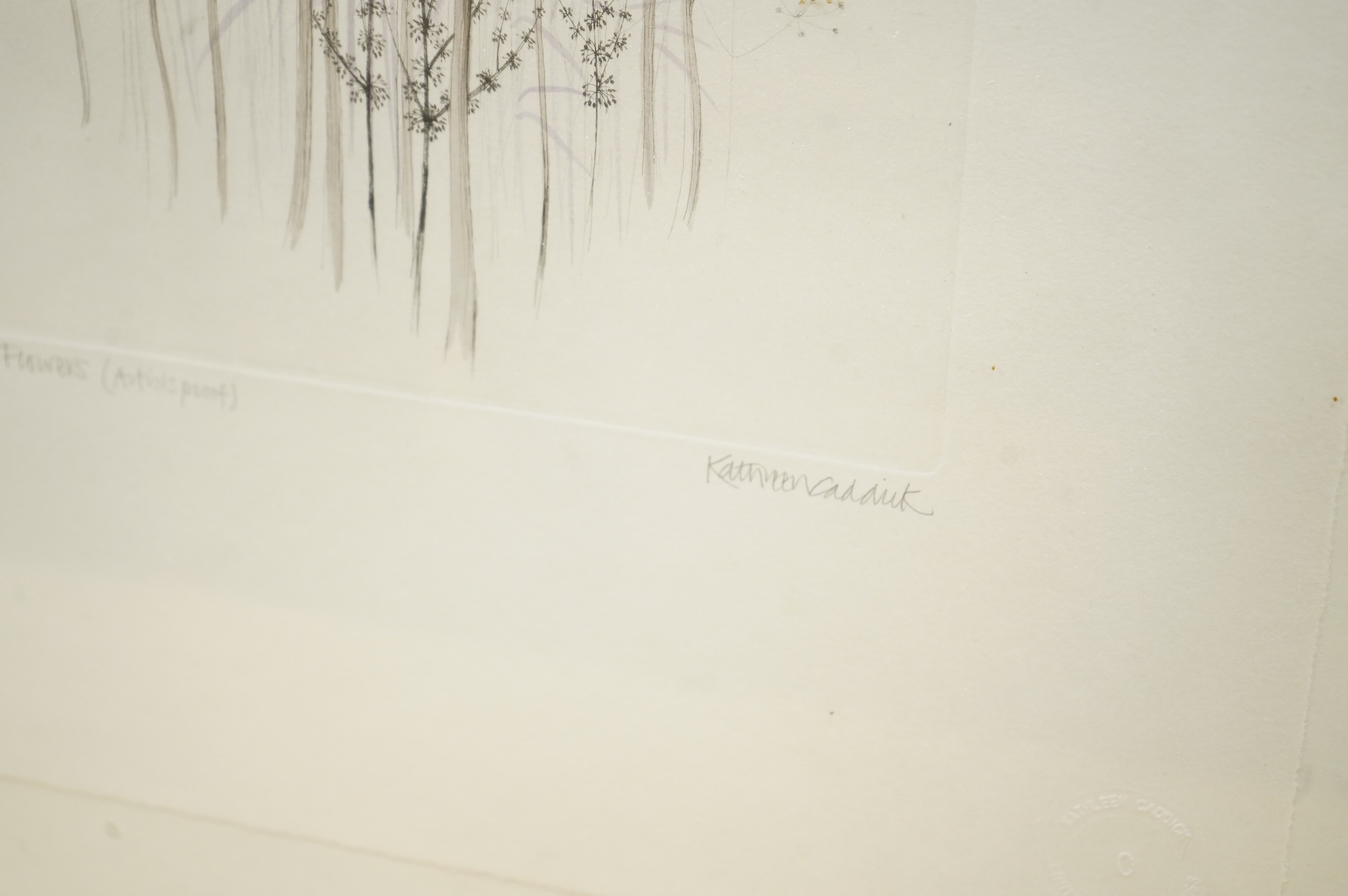 Kathleen Caddick (b.1937), ‘Dried Flowers’, pair of artist proof etchings, each signed in pencil, 49 x 37cm